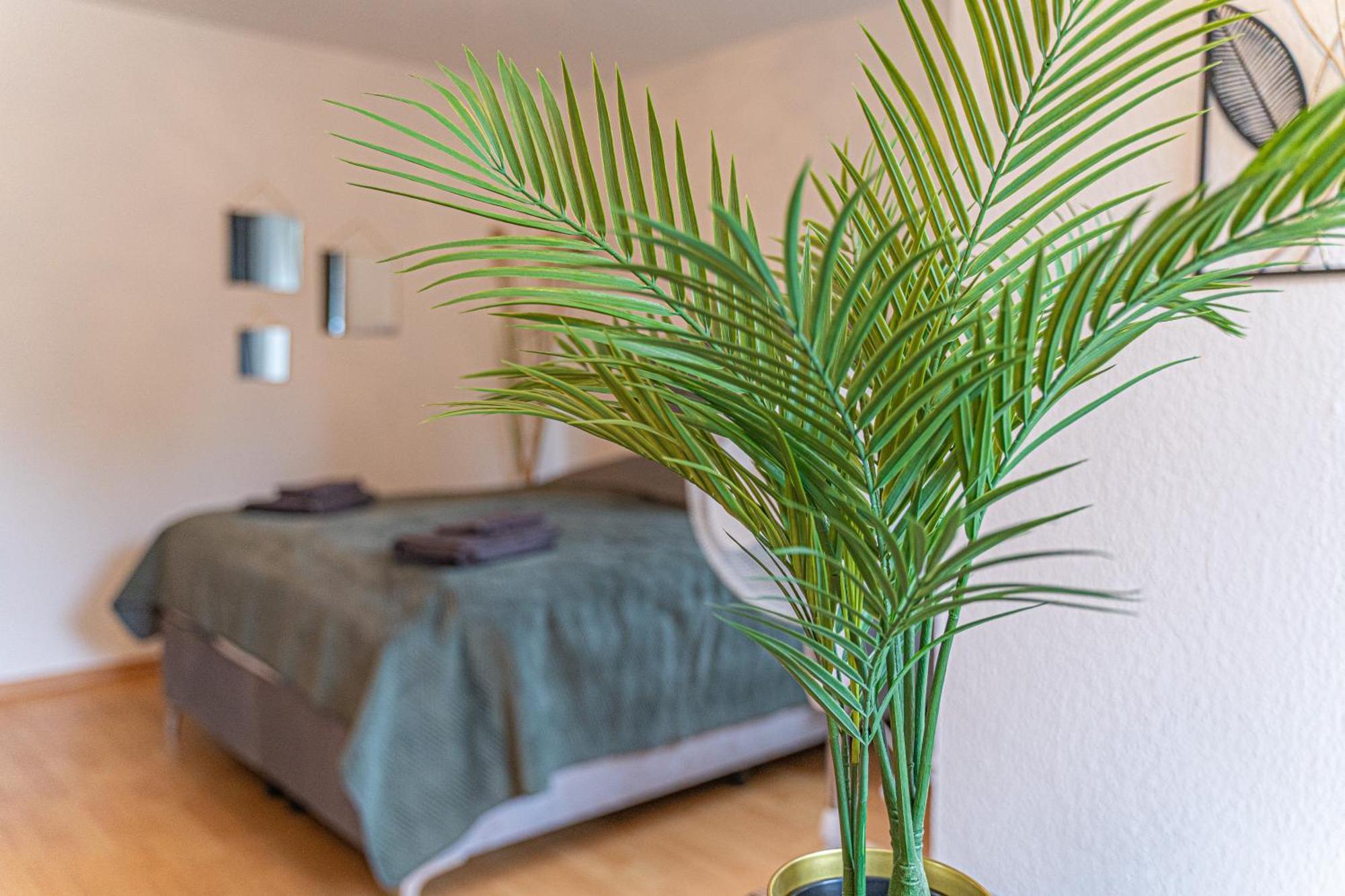 Apartment Wesseling Εξωτερικό φωτογραφία
